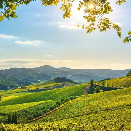 Casale Al Sole Tra Le Vecchie Vigne 6 And 10 Willa